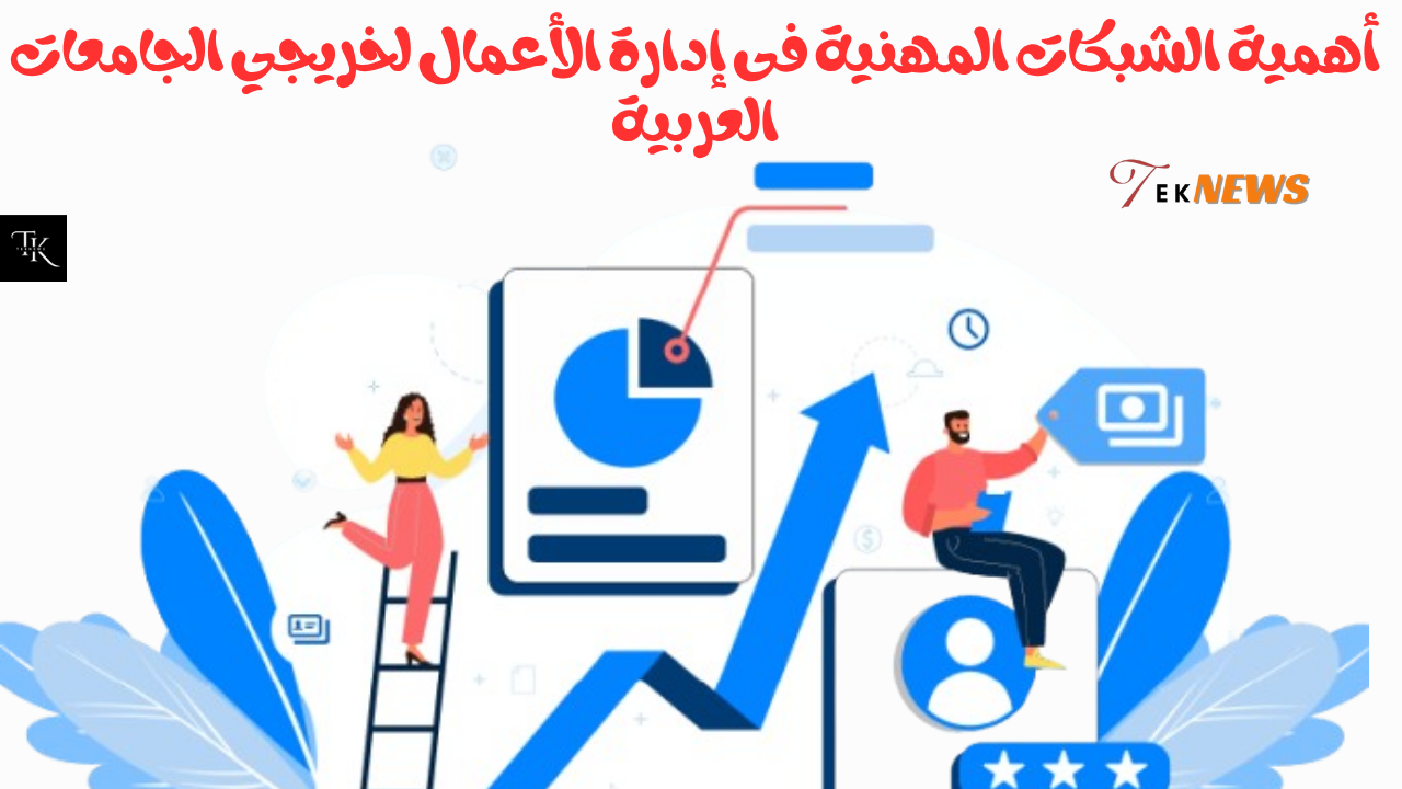 الشبكات المهنية فى إدارة الأعمال